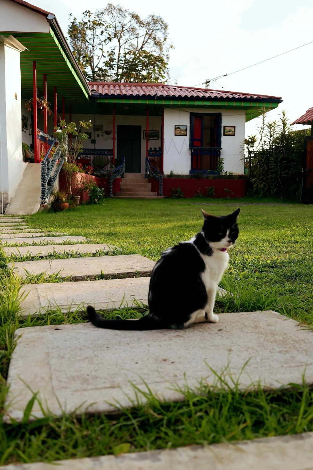 Hacienda Boutique Santa Rosanna Villa Santa Rosa de Cabal Exteriör bild